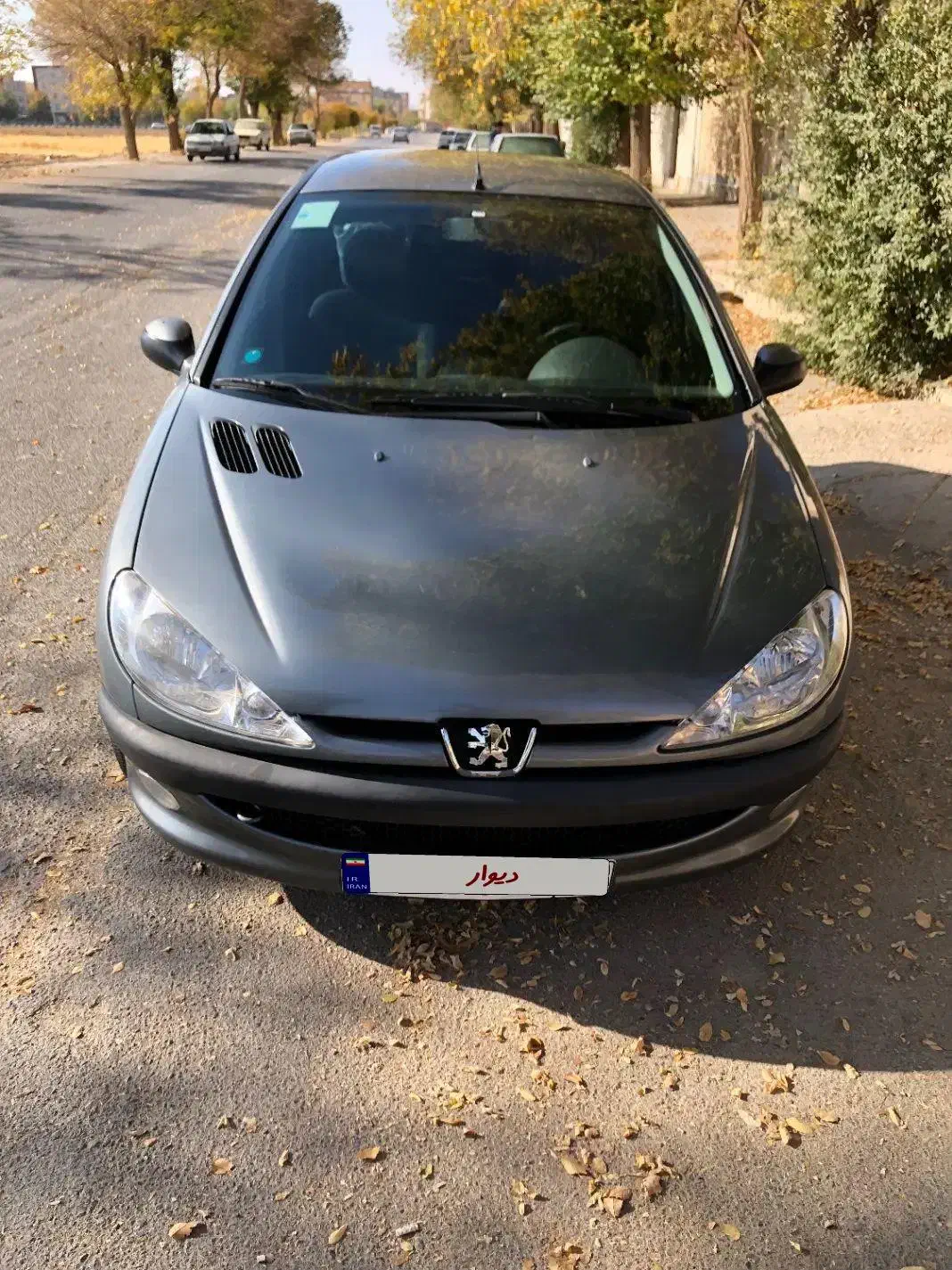 پژو 206 تیپ 2 - 1395