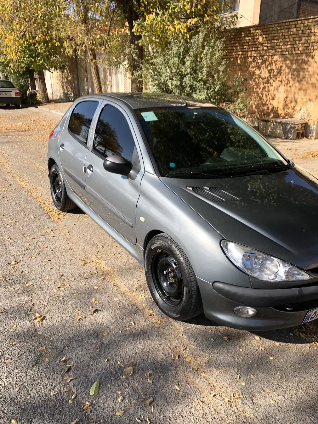 پژو 206 تیپ 2 - 1395