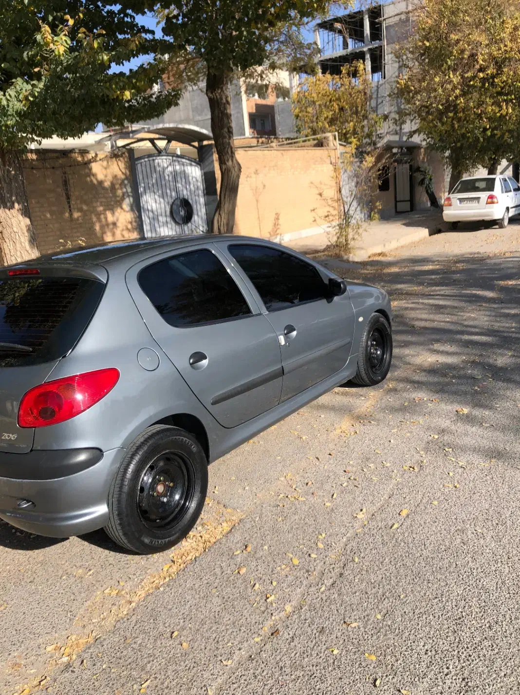 پژو 206 تیپ 2 - 1395