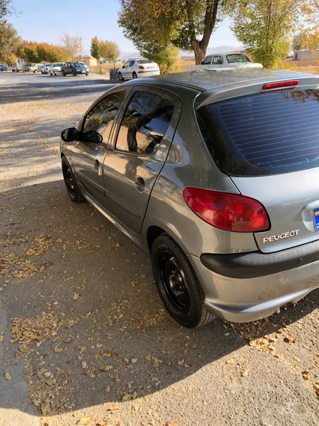 پژو 206 تیپ 2 - 1395