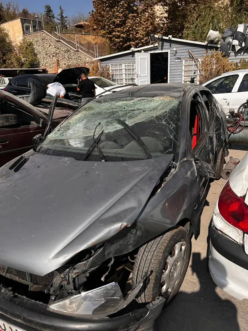 خودرو پژو، ۲۰۶ صندوق دار آگهی ann_20968327