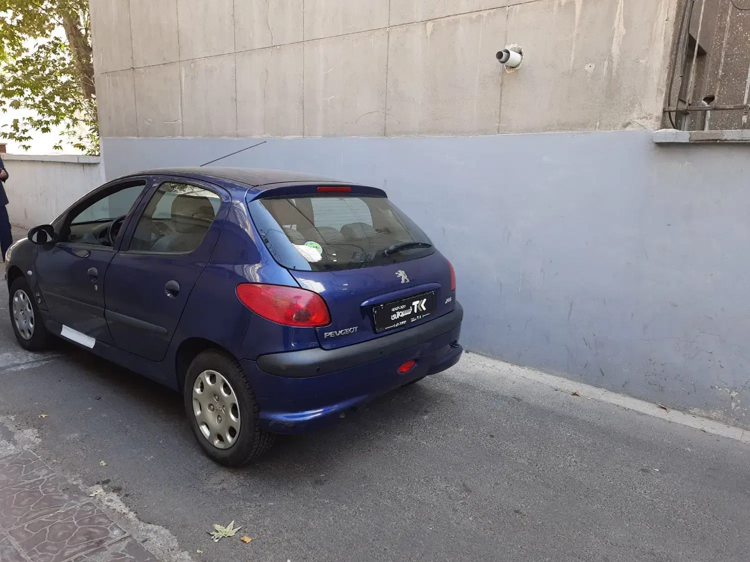 پژو 206 تیپ 5 - 1399