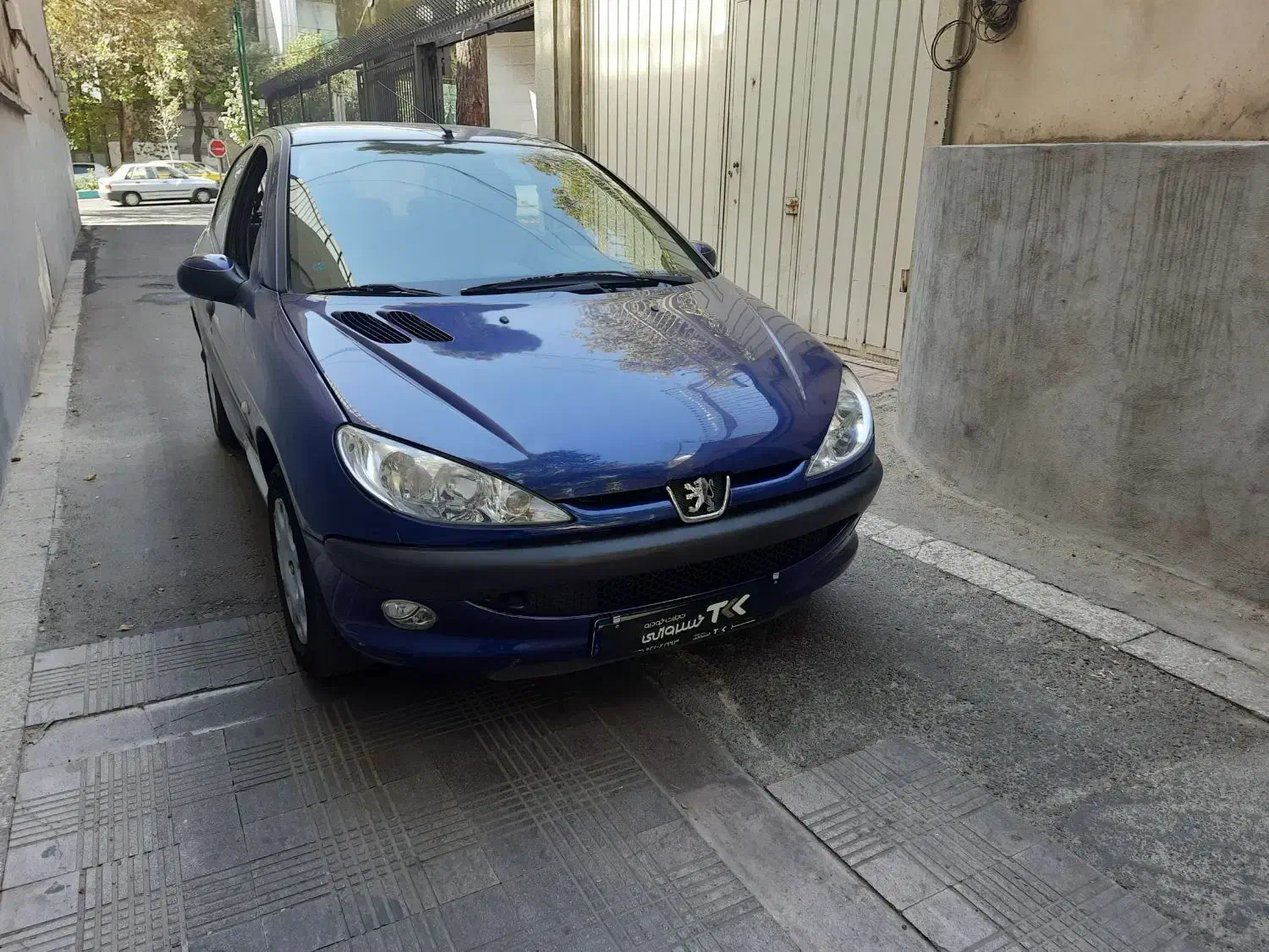 پژو 206 تیپ 5 - 1399