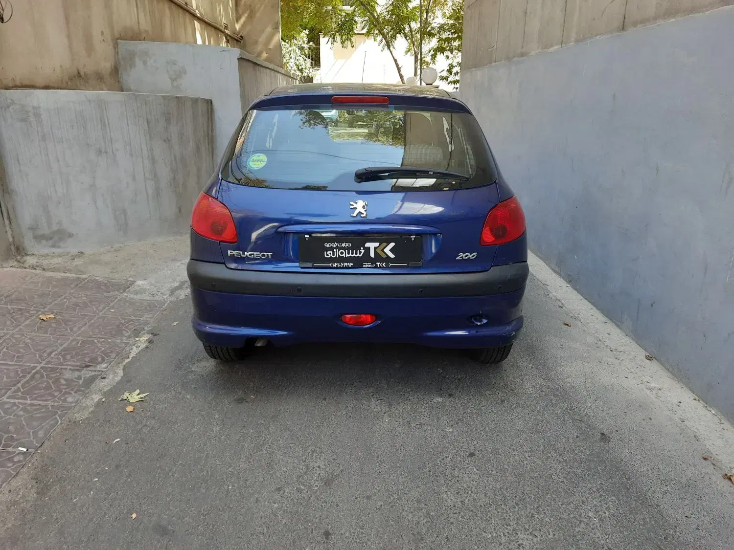 پژو 206 تیپ 5 - 1399