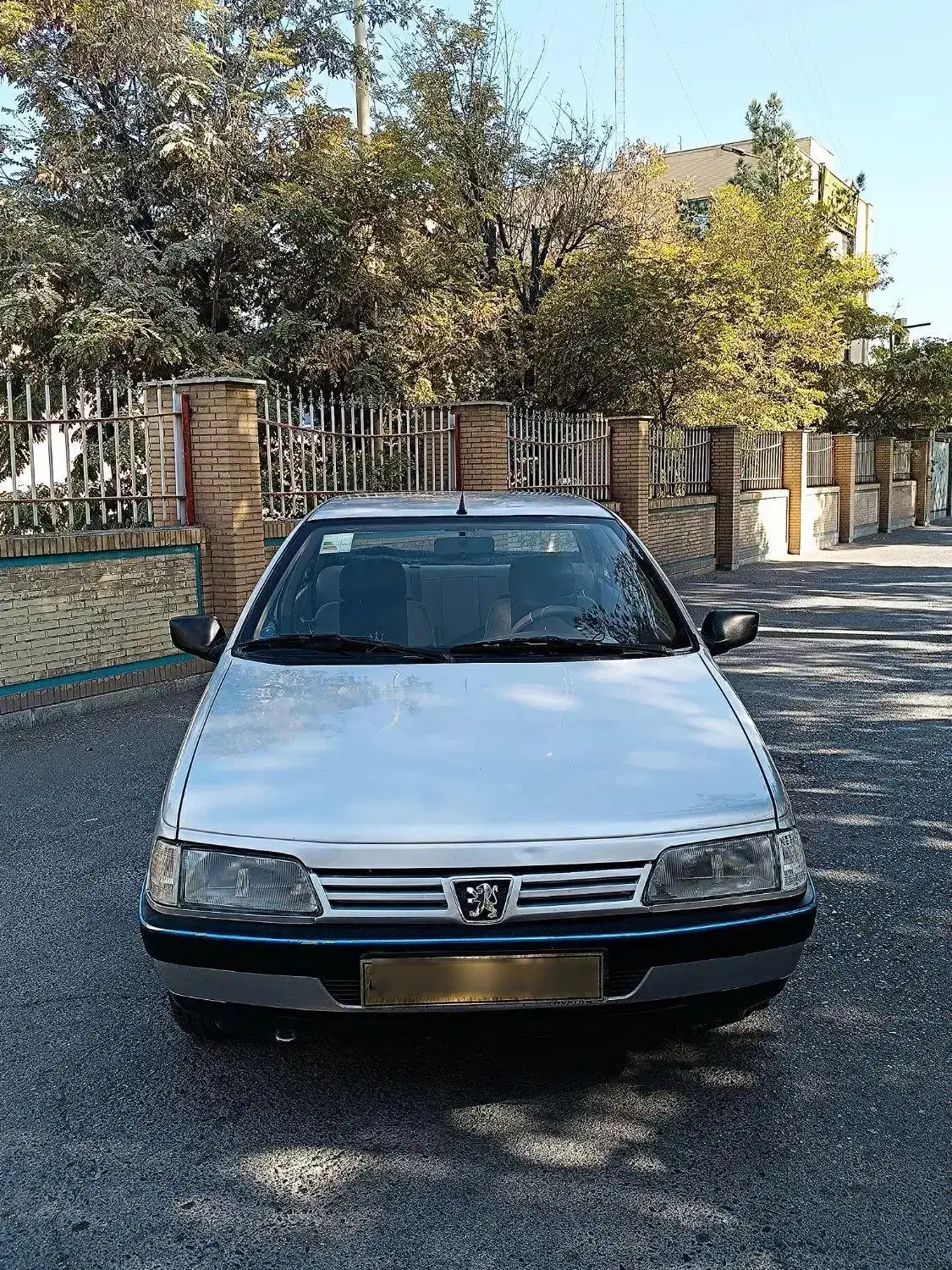 پژو 405 GLX - 1391