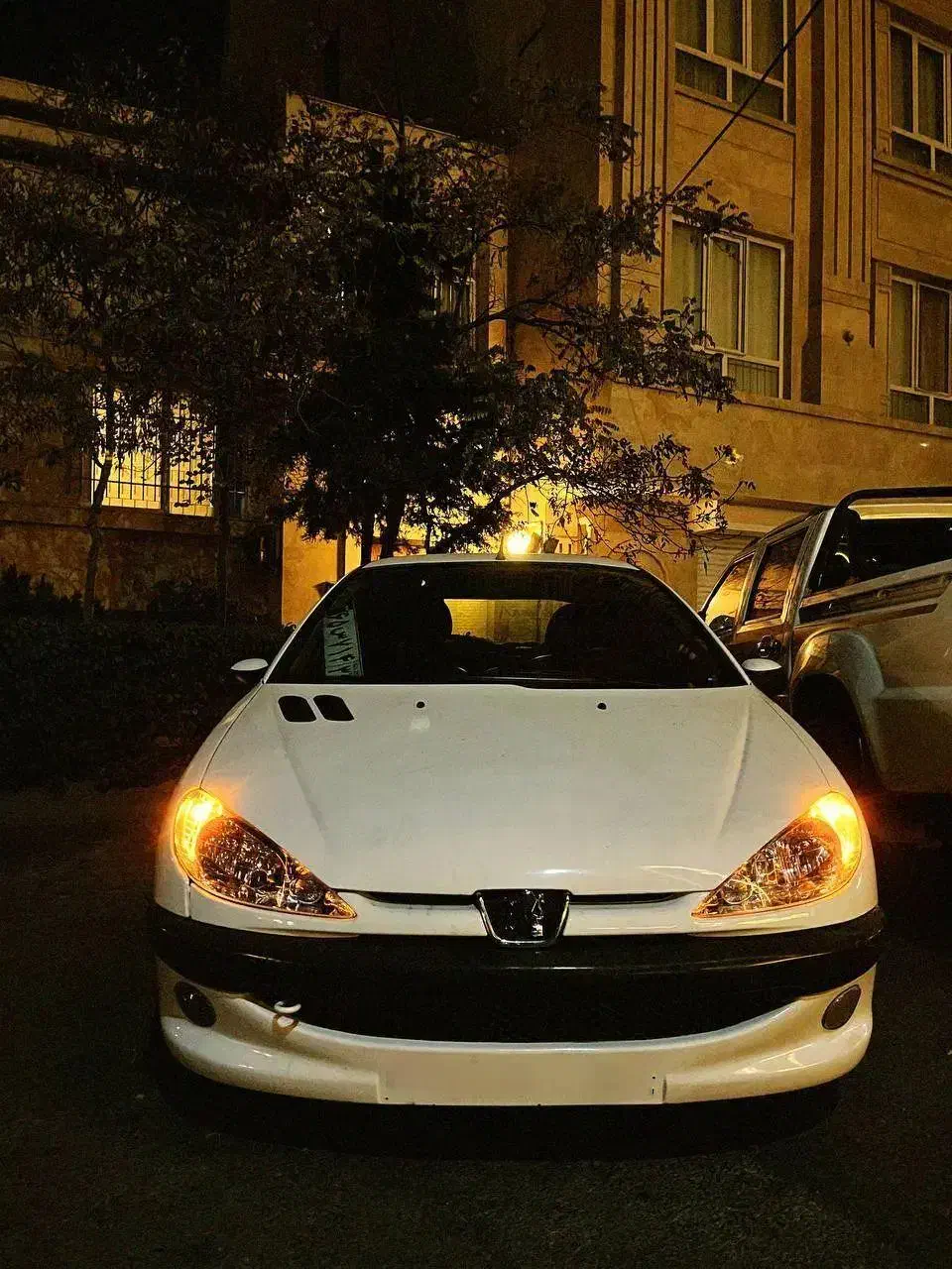 خودرو پژو، 206 آگهی ann_20968897