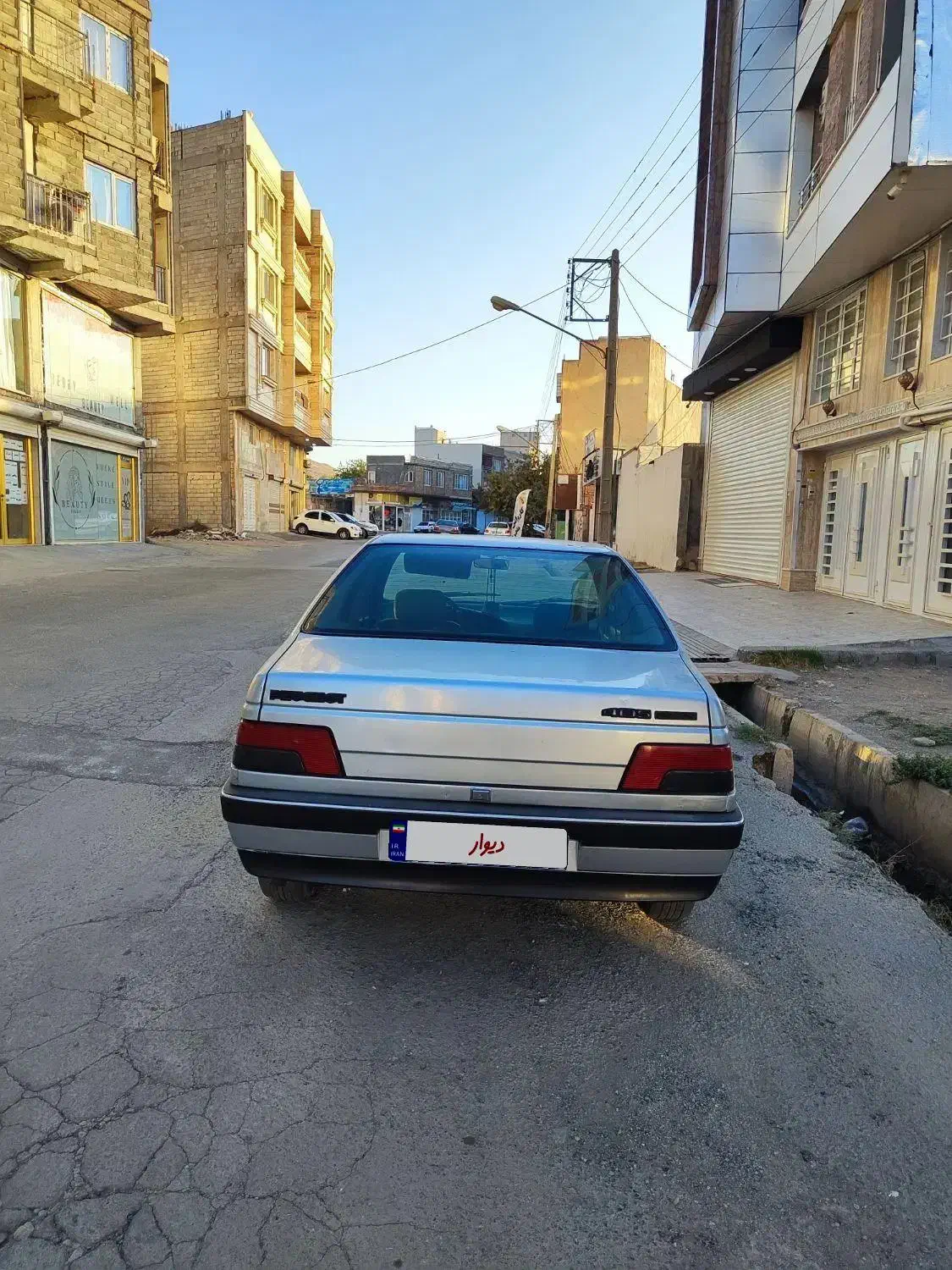 پژو 405 GLX - دوگانه سوز - 1390