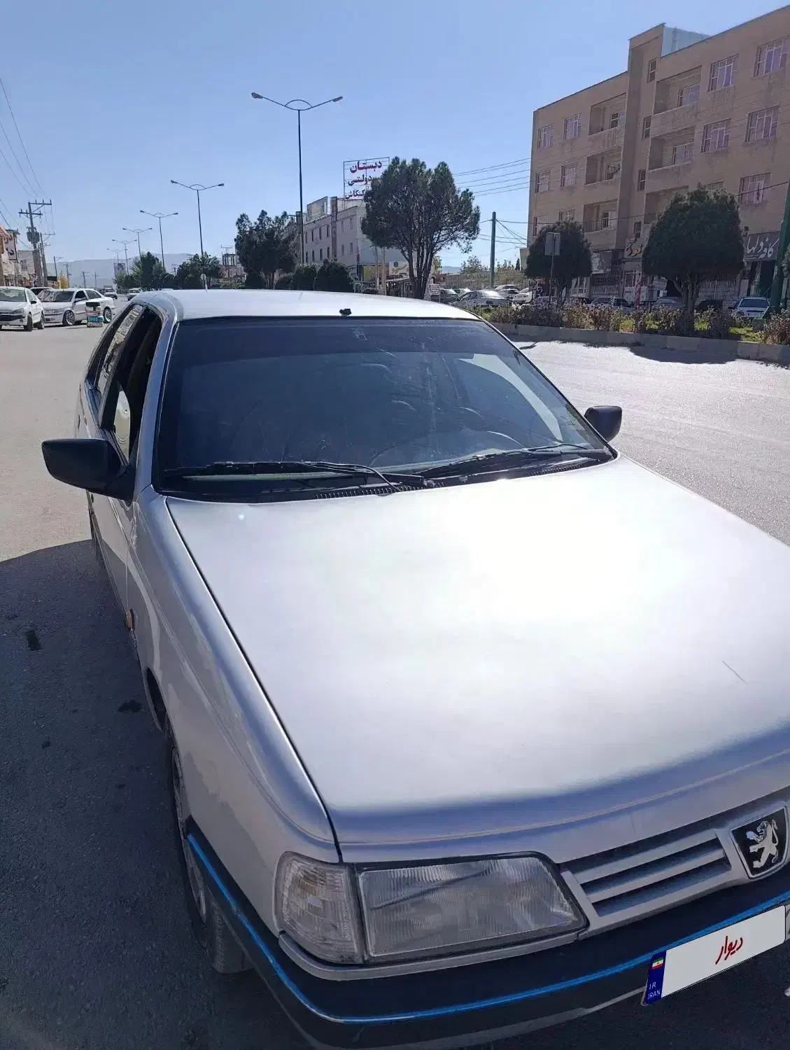 پژو 405 GLX - دوگانه سوز - 1392