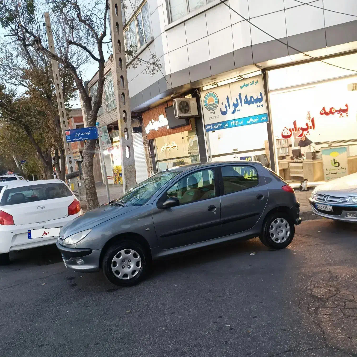 پژو 206 تیپ 2 - 1388