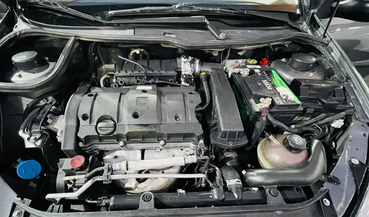 پژو 206 تیپ 5 - 1394