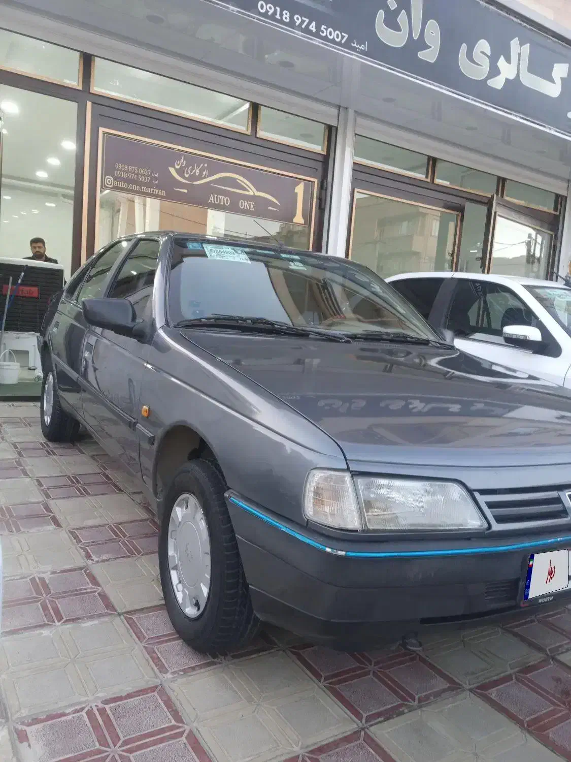 پژو 405 GLX - دوگانه سوز - 1393