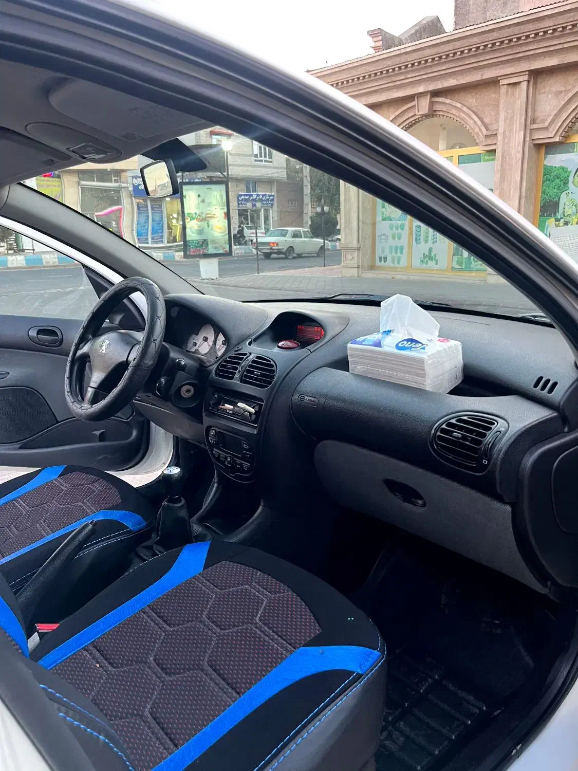 پژو 206 تیپ 5 - 1395