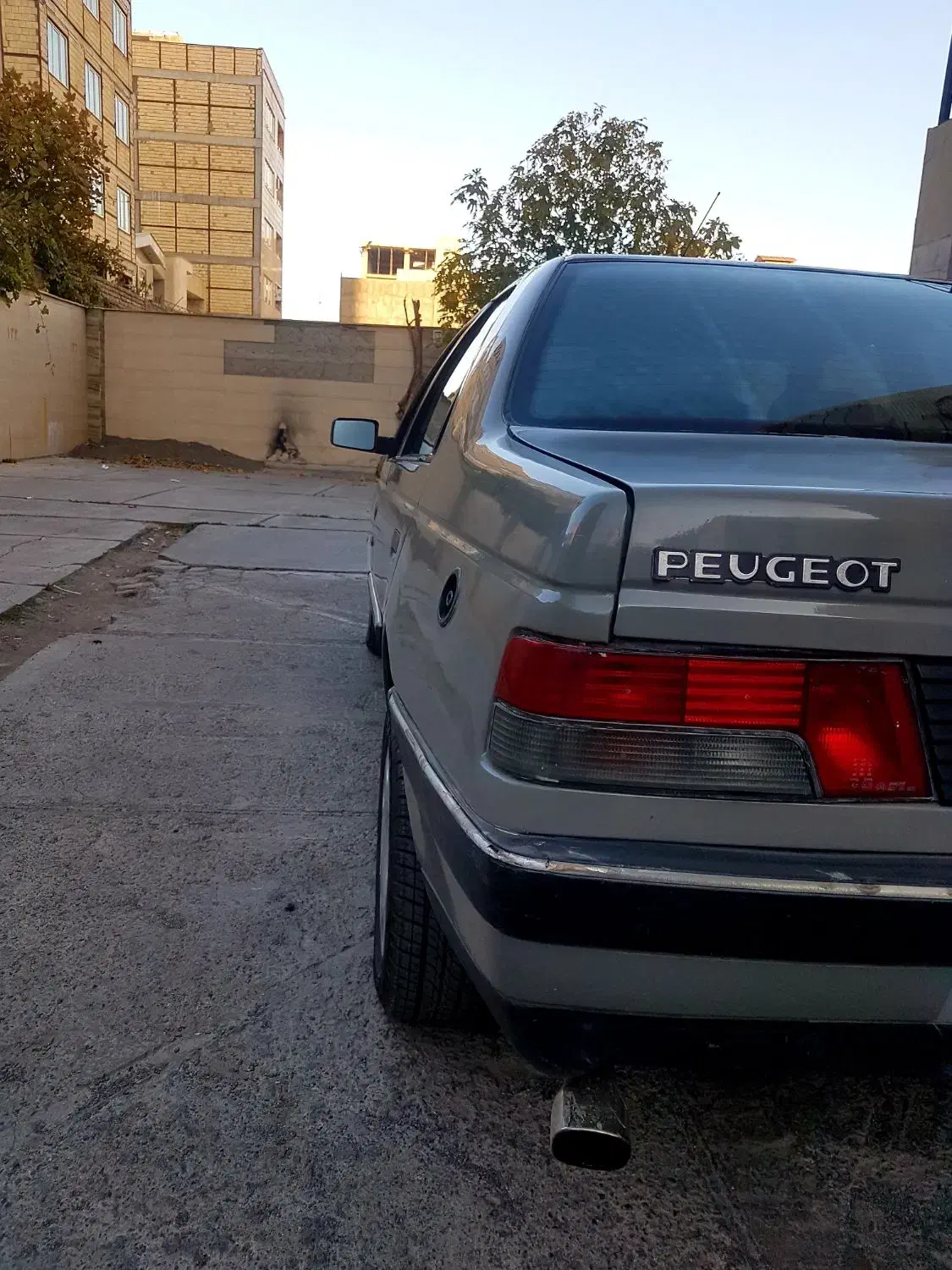 پژو آردی دوگانه سوز CNG - 1383