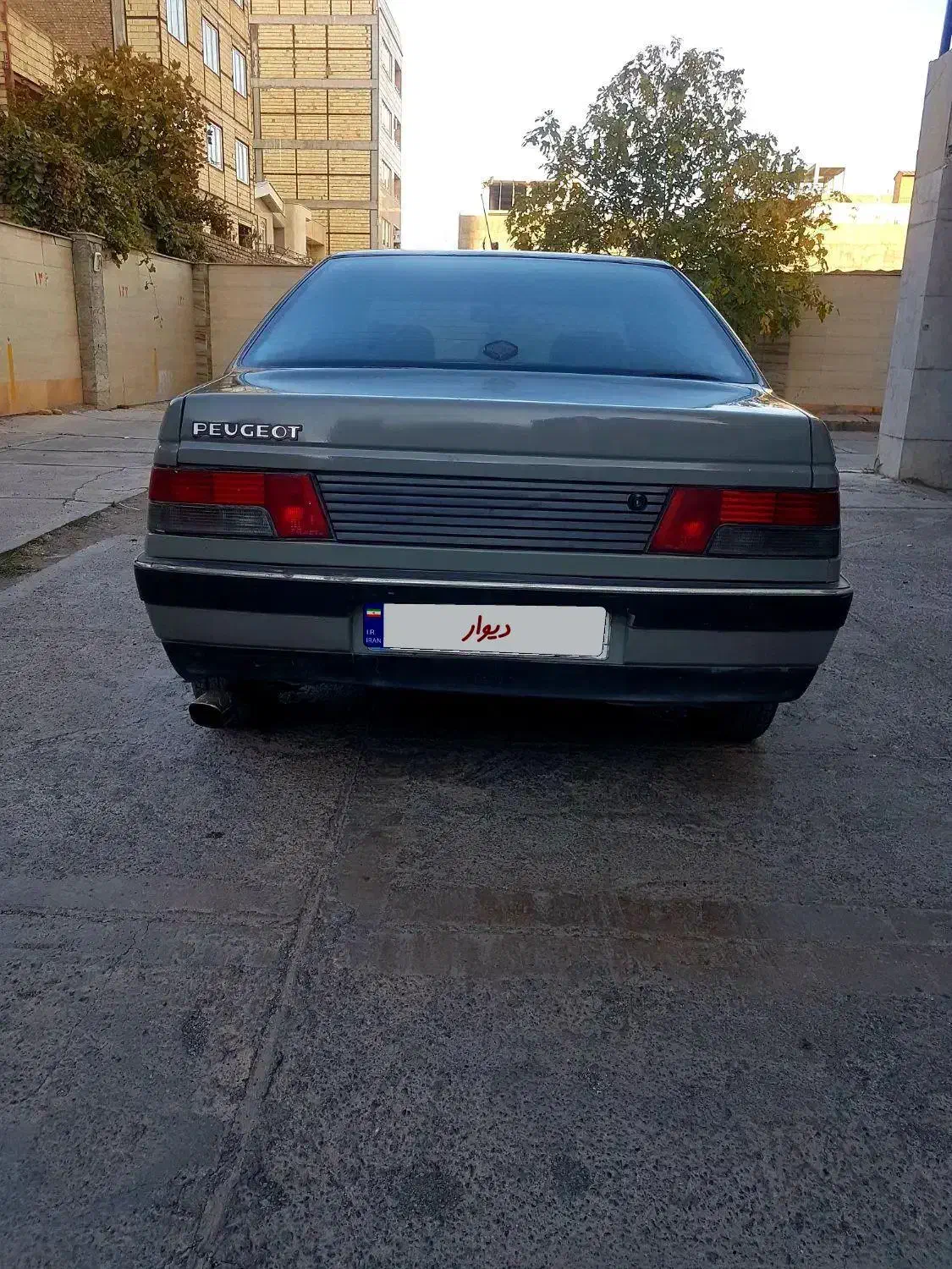 پژو آردی دوگانه سوز CNG - 1383