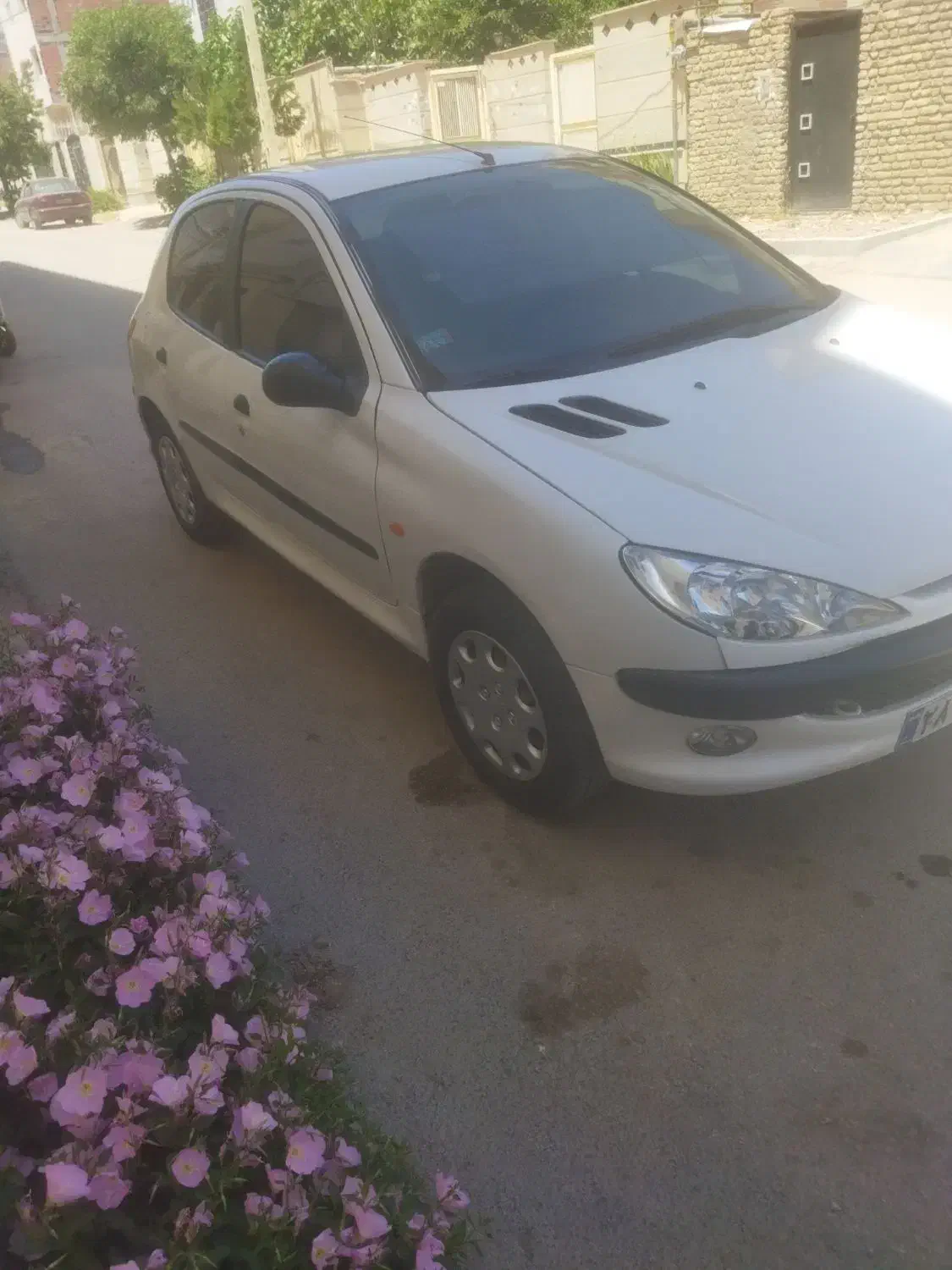 پژو 206 تیپ 2 - 1387