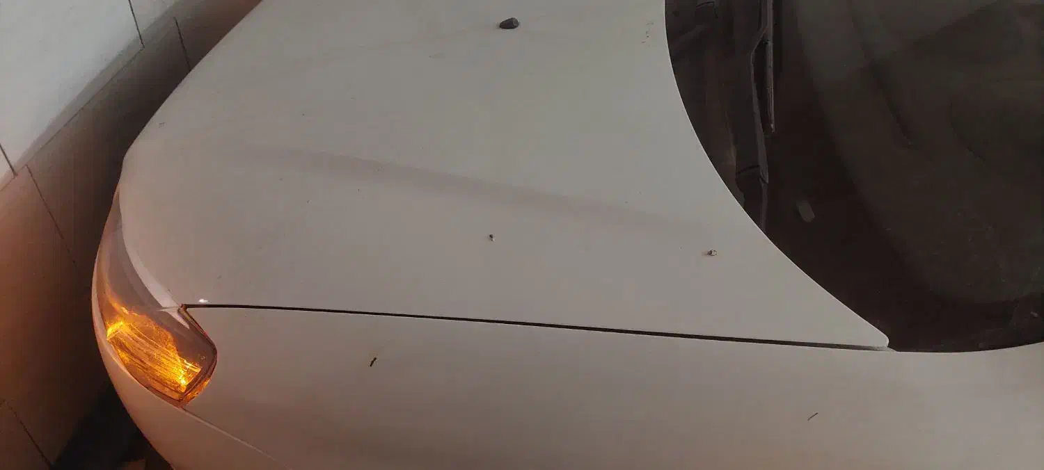 رانا پلاس سقف فلز - 1401