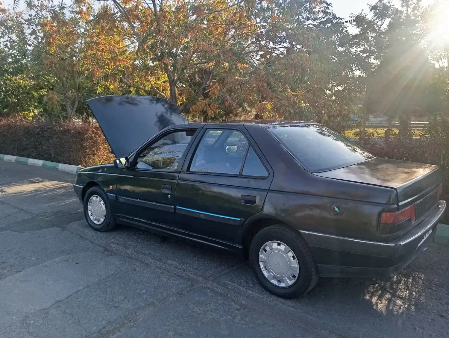 پژو آردی دوگانه سوز CNG - 1383