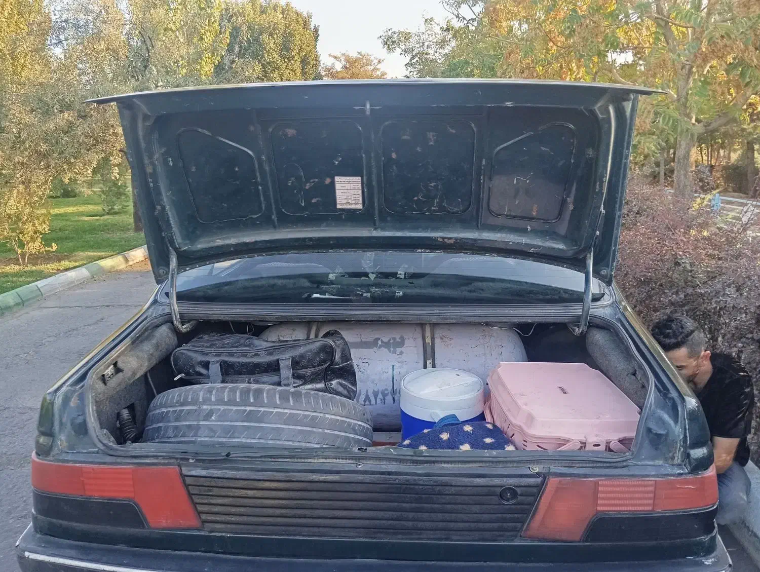 پژو آردی دوگانه سوز CNG - 1383