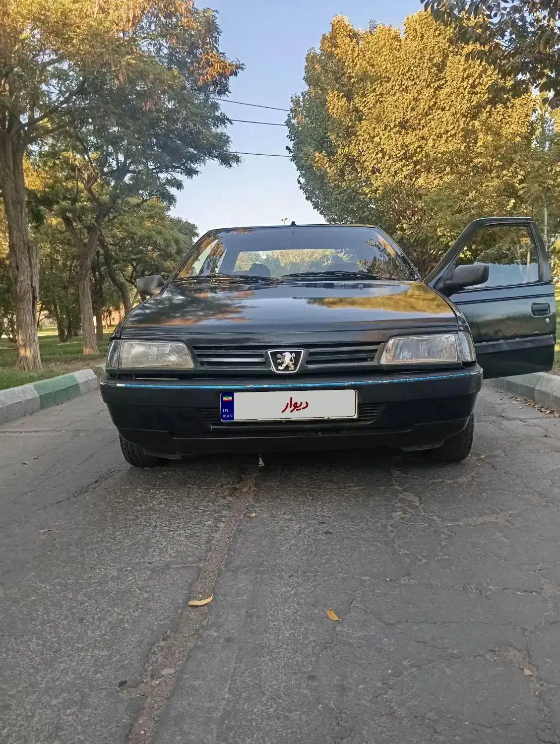 پژو آردی دوگانه سوز CNG - 1383