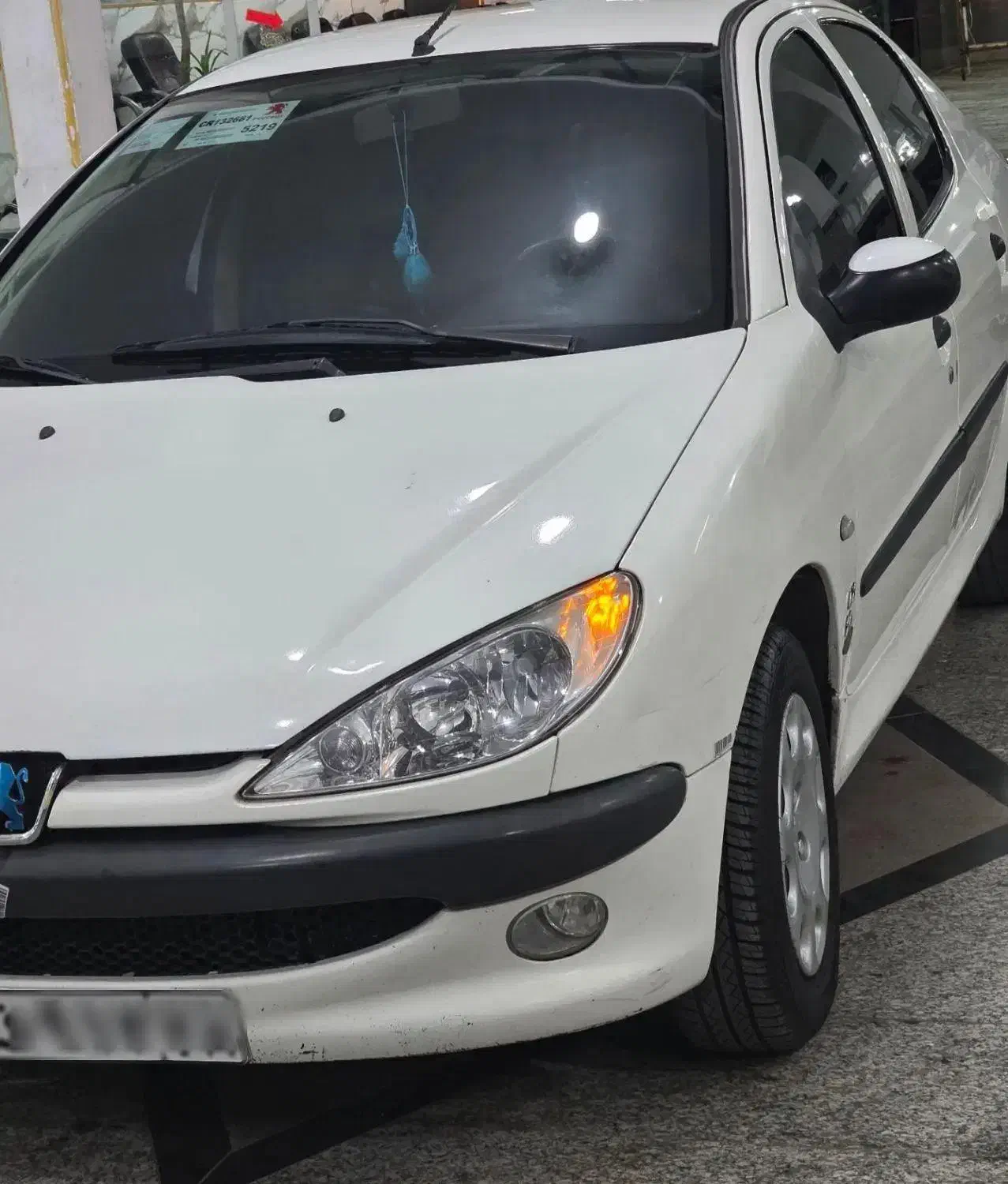 پژو 206 تیپ 5 - 1388