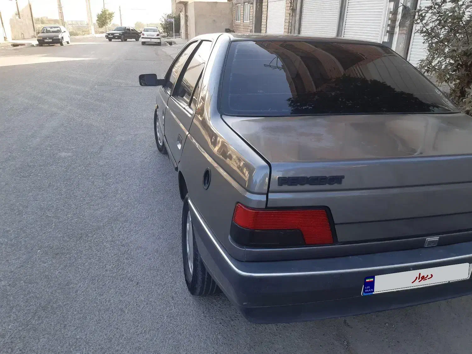 پژو 405 GLX - دوگانه سوز - 1391