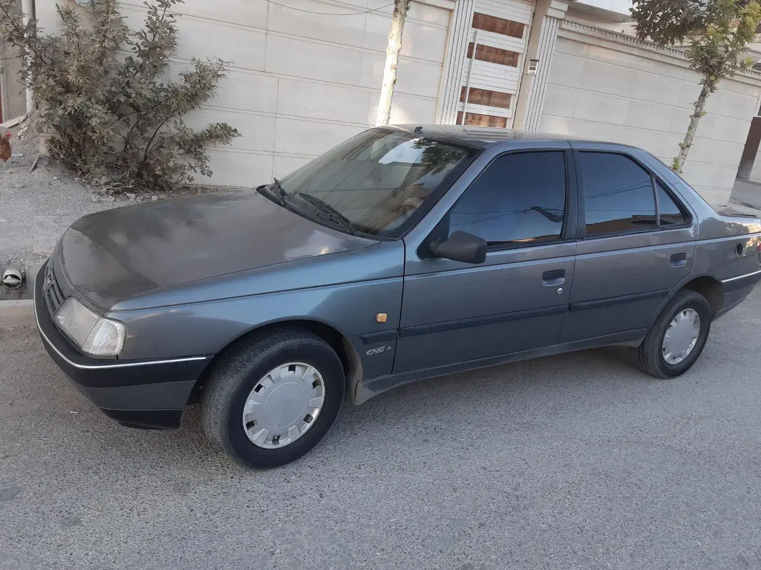 پژو 405 GLX - دوگانه سوز - 1391