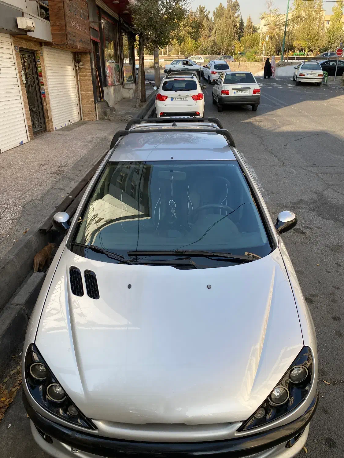 پژو 206 تیپ 5 - 1383