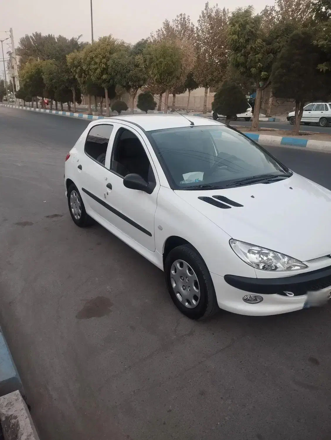 پژو 206 تیپ 2 - 1401