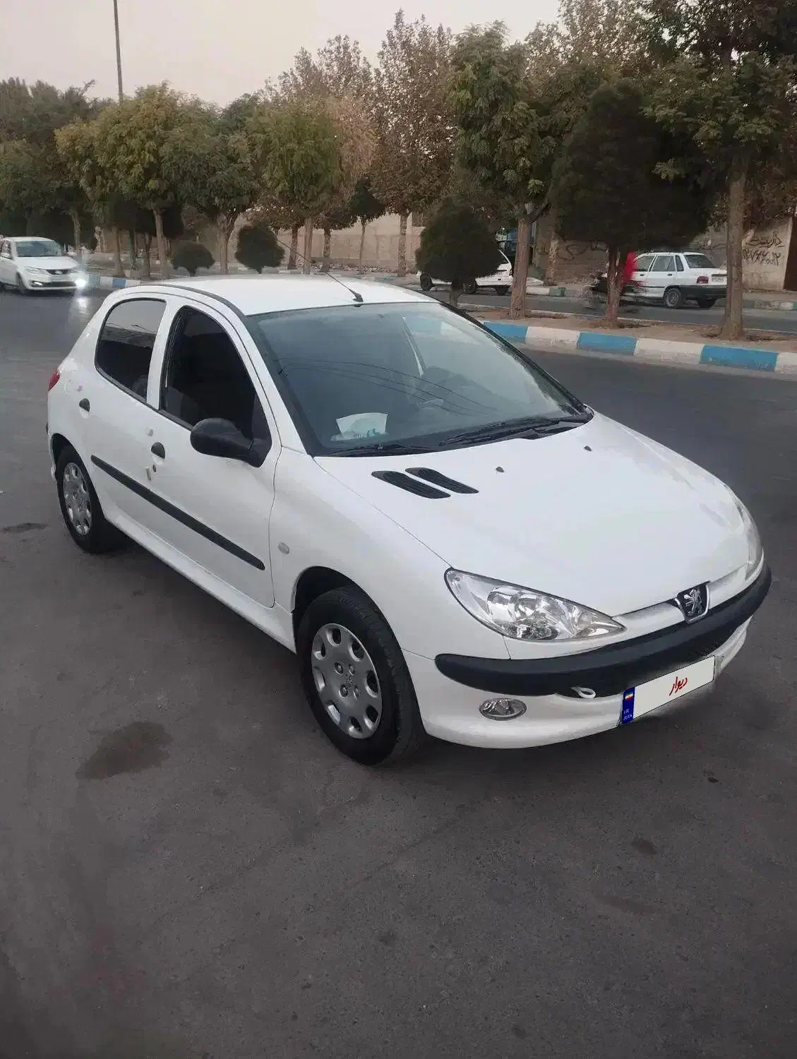 پژو 206 تیپ 2 - 1401