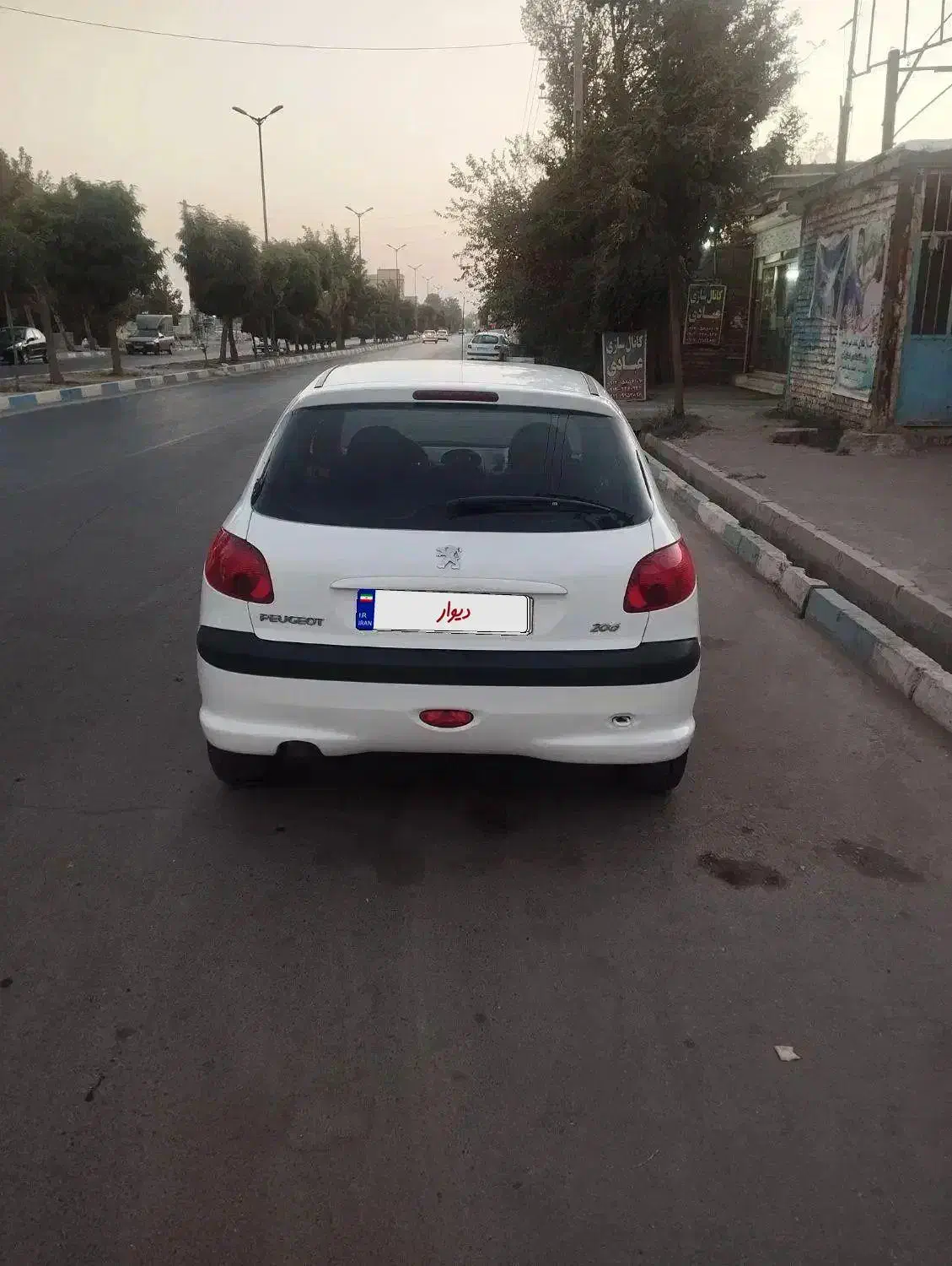 پژو 206 تیپ 2 - 1401