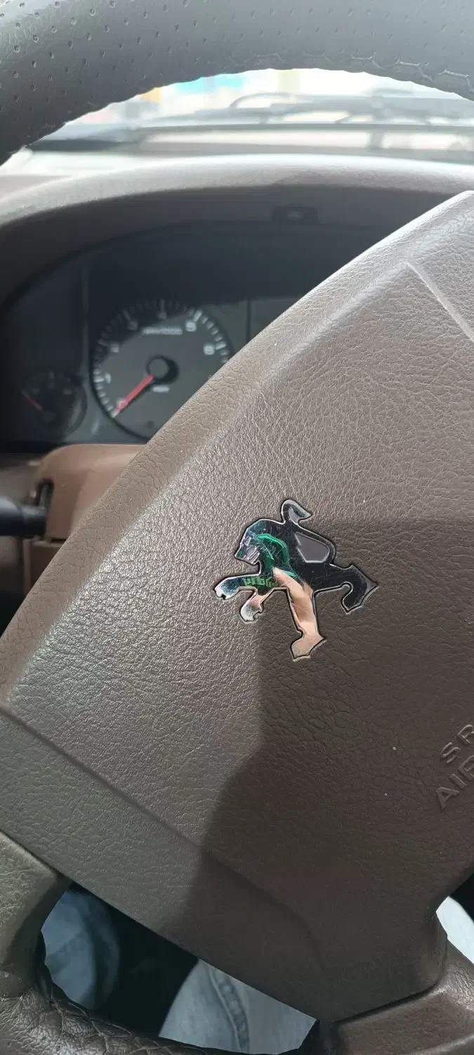 پژو 405 GLX - دوگانه سوز - 1391