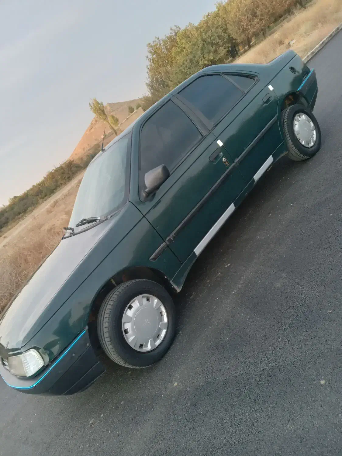 پژو آردی دوگانه سوز CNG - 1383