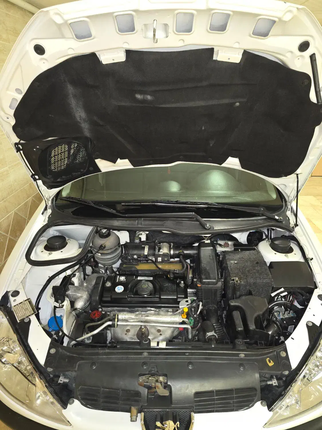 پژو 206 تیپ 2 - 1399