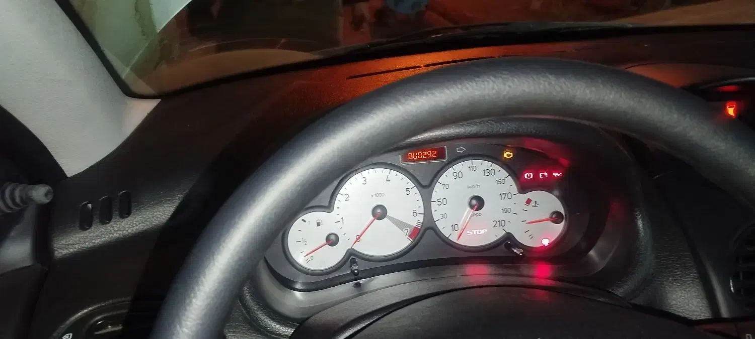 پژو 206 تیپ 2 - 1399