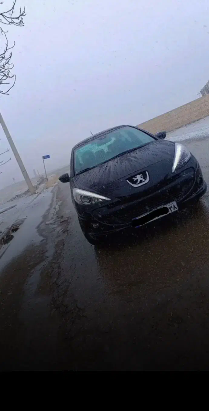 خودرو پژو، 207 آگهی ann_20973420