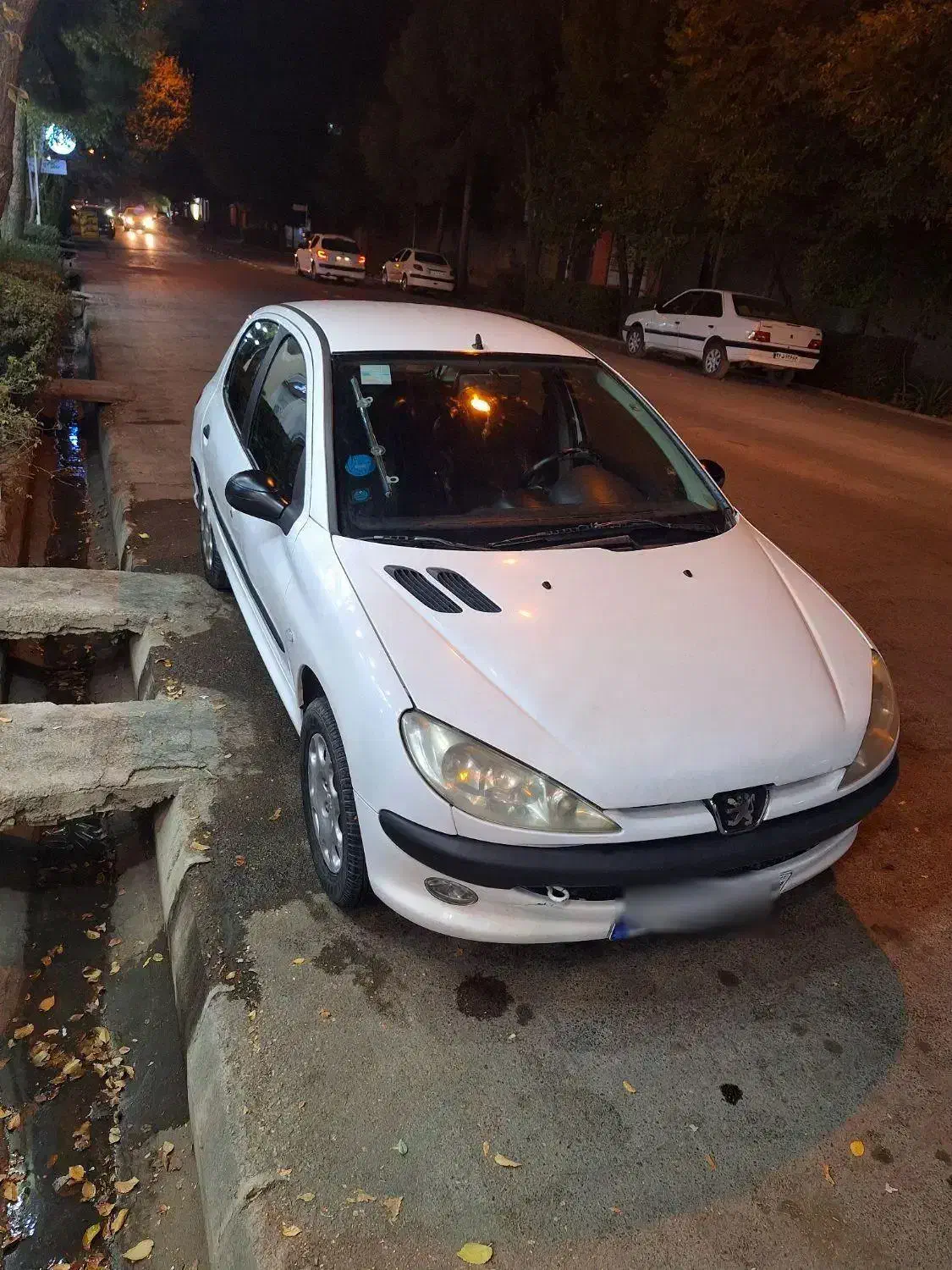 پژو 206 تیپ 2 - 1390