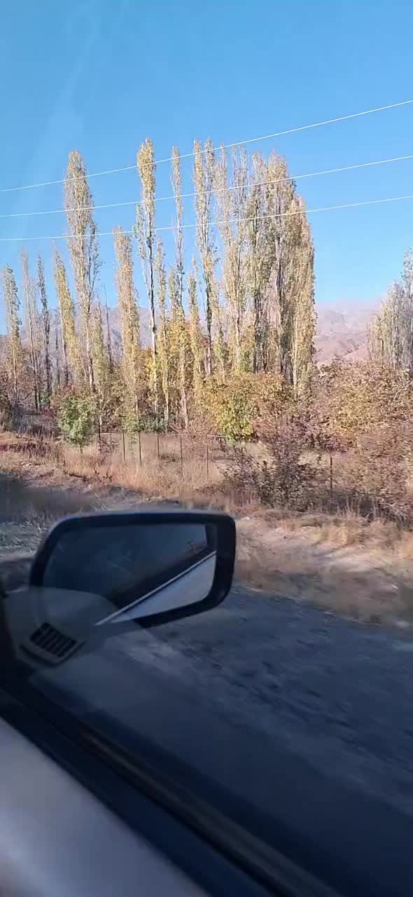 خودرو پژو، پارس آگهی ann_20974143