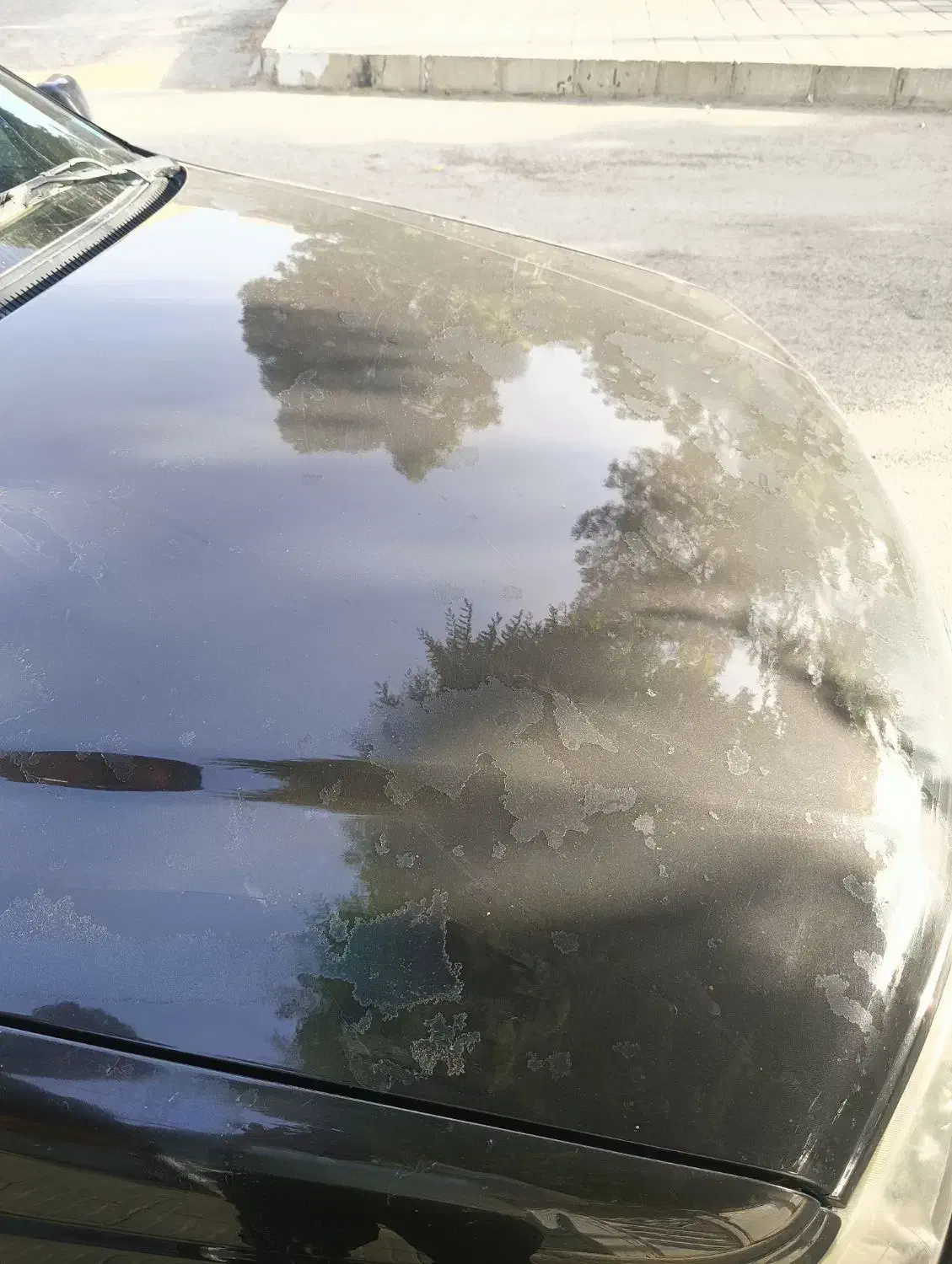 خودرو پژو، پارس آگهی ann_20974697