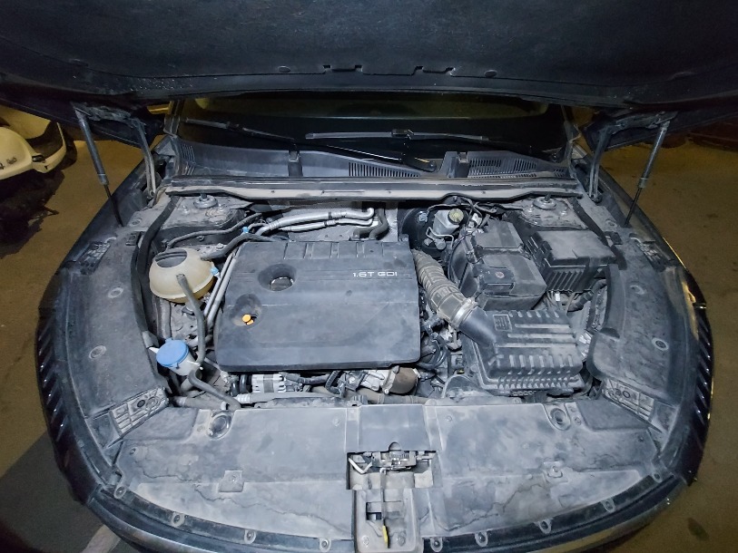 فونیکس FX پریمیوم FWD - 1402