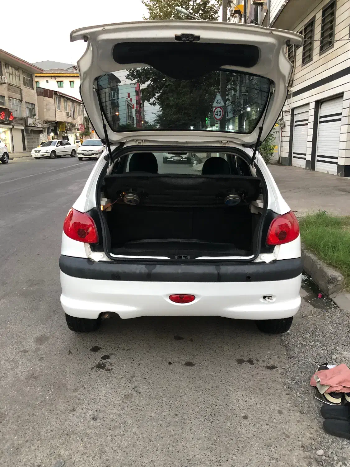 پژو 206 تیپ 5 - 1395