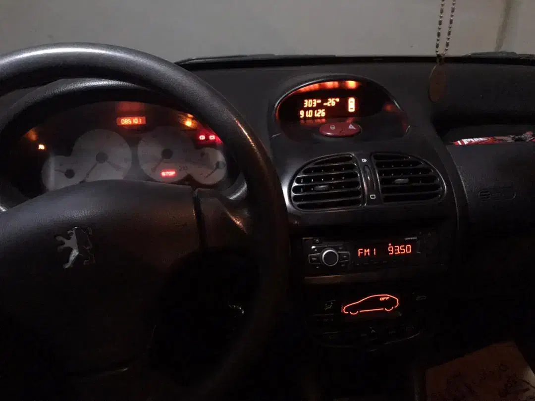 پژو 206 تیپ 5 - 1393