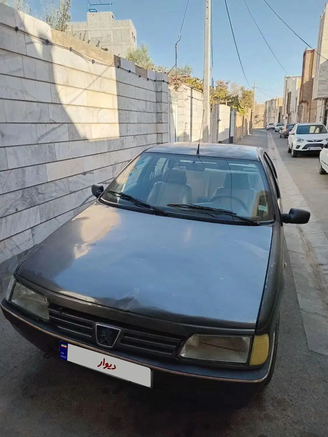 پژو روآ دوگانه سوز - 1386