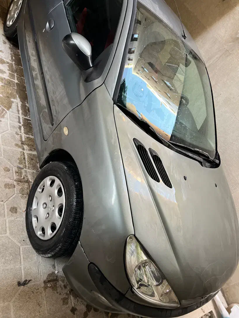 پژو 206 تیپ 2 - 1391