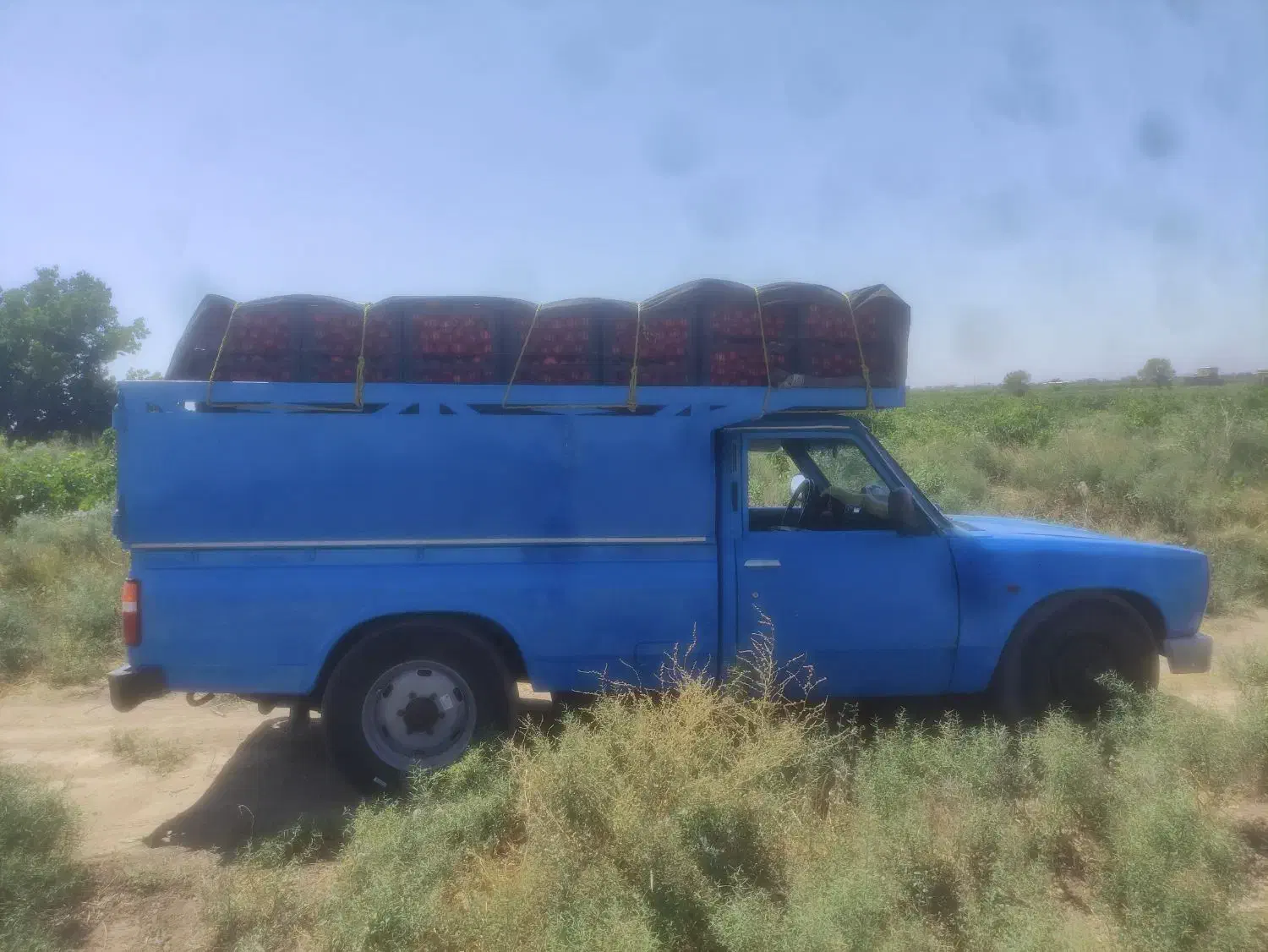 زامیاد وانت نیسانZ24 دیزلی - 1391