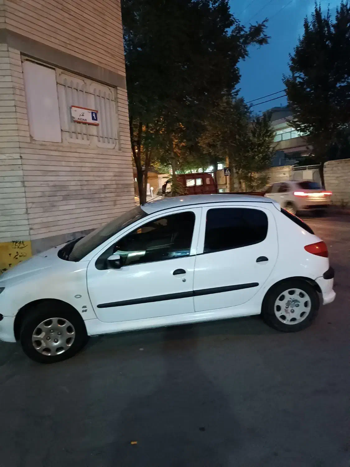 پژو 206 تیپ 2 - 1391