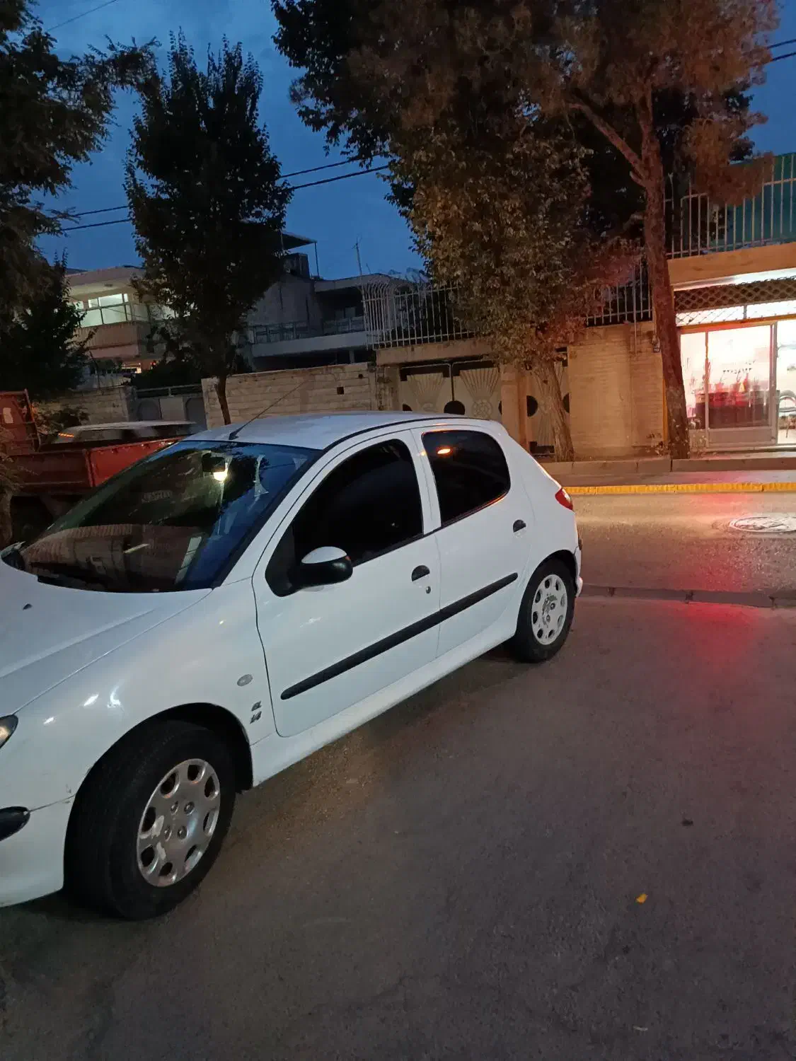 پژو 206 تیپ 2 - 1391