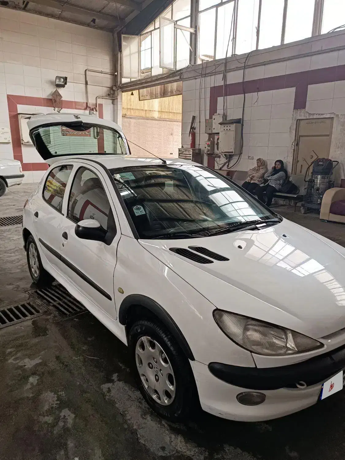 پژو 206 تیپ 2 - 1391