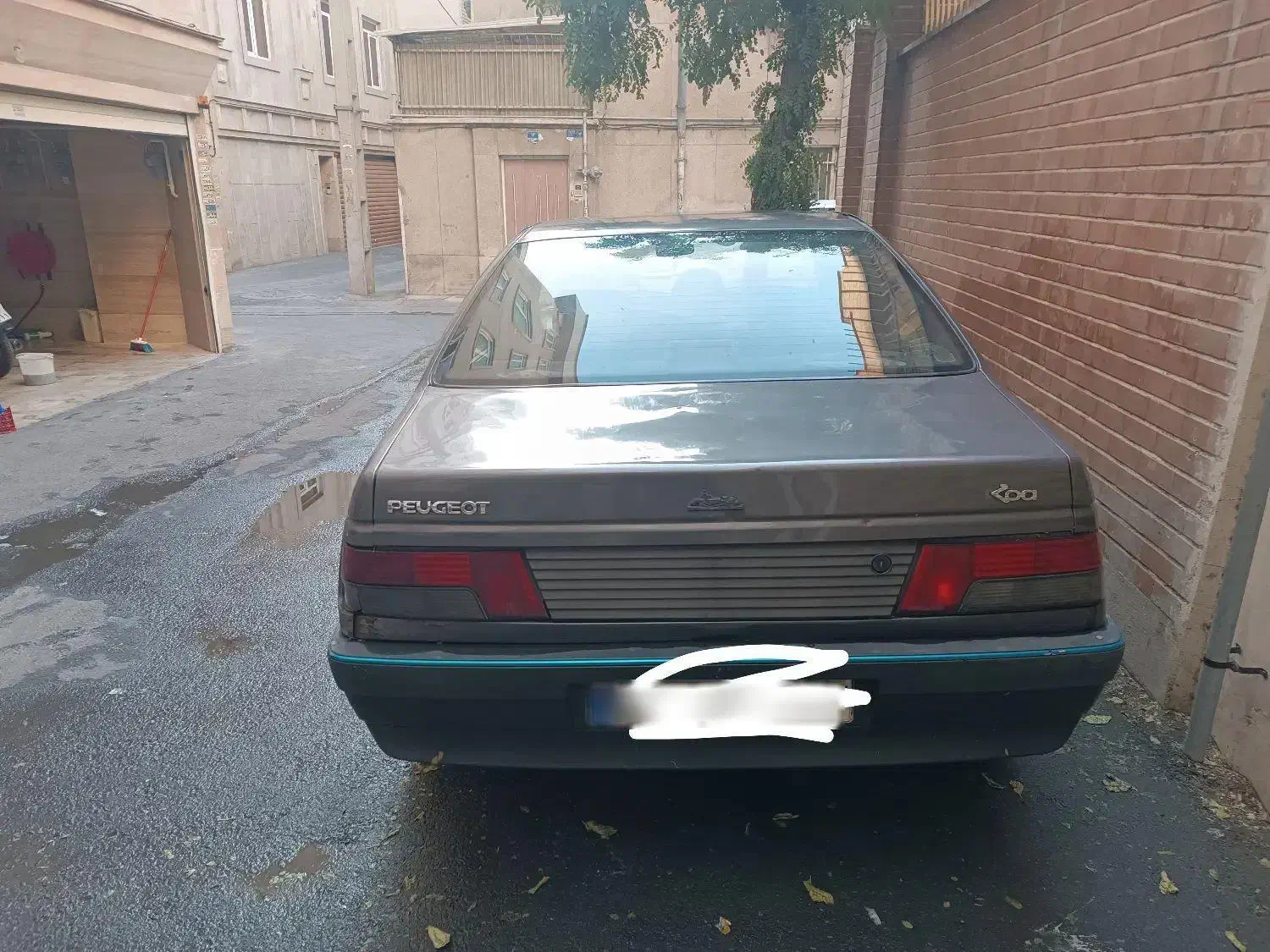 پژو روآ دوگانه سوز - 1387