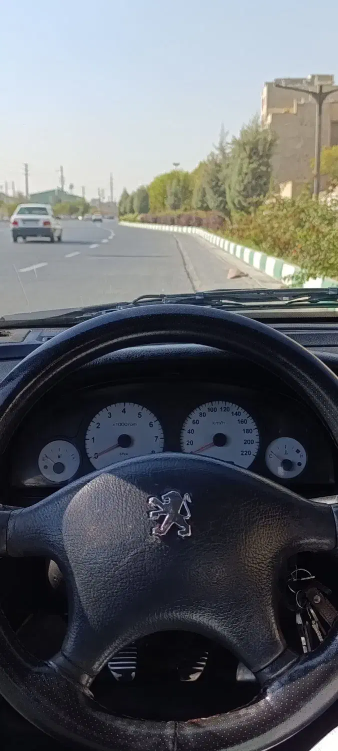 پژو آردی RDI - 1385