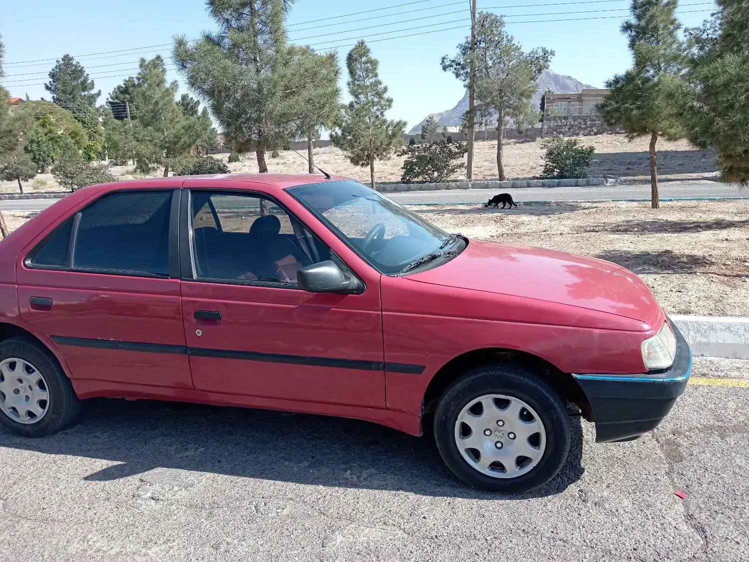 پژو آردی معمولی - 1380